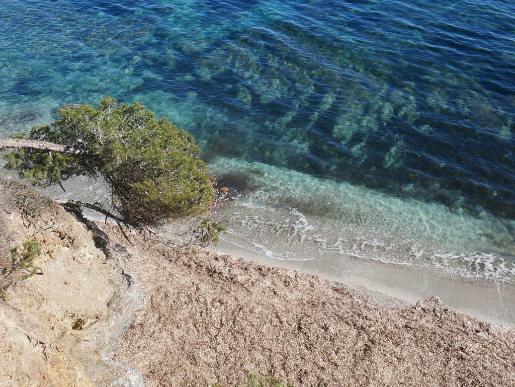 Plage des Darboussières | © Photo de  Méline Loison